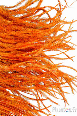 Struzzo barbules - 8-15 cm -  azteco dorato